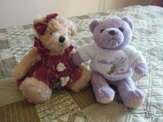 DSCN0700.JPG