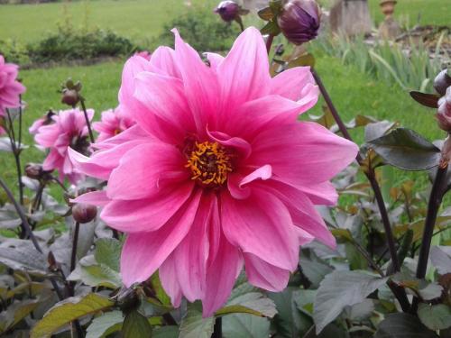 20140731_103338.jpg