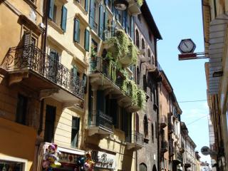 DSC00328.JPG