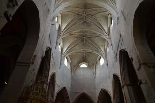 DSC_7186.JPG