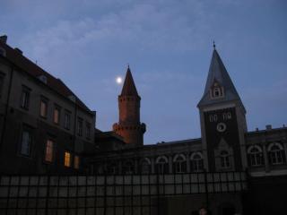 IMG_0530.JPG
