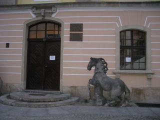 IMG_0550.JPG