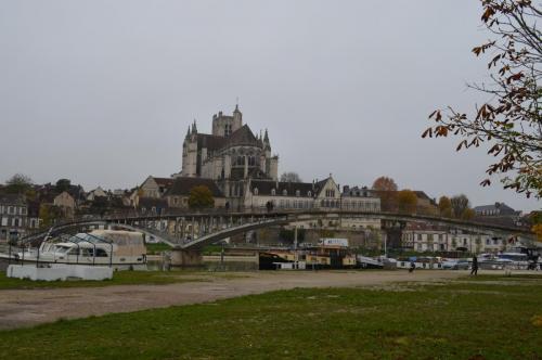 DSC_0203.JPG