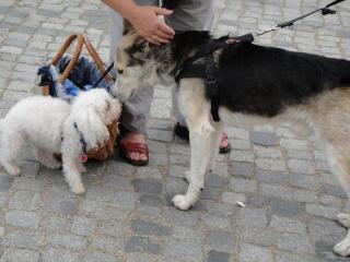DSC00432.JPG