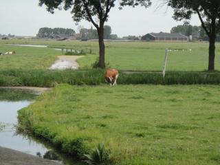DSC01504.JPG