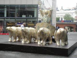 DSC01588.JPG
