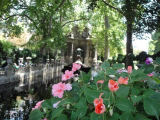 DSC00865.JPG