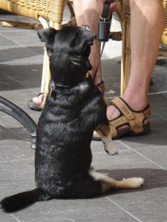 DSC01530.JPG