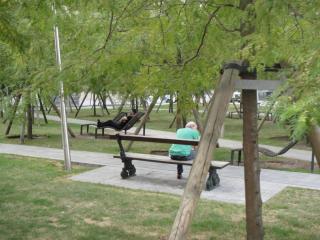 DSC01223.JPG