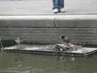 DSC01565.JPG