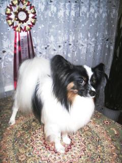 SAM_4459.JPG