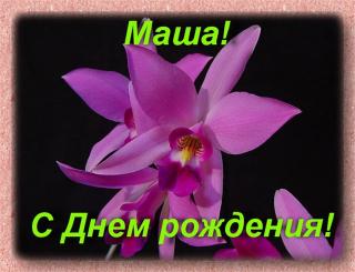 Маше.jpg