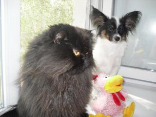 SAM_0277.JPG