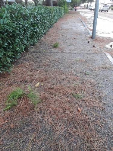 Каваллино 30.jpg