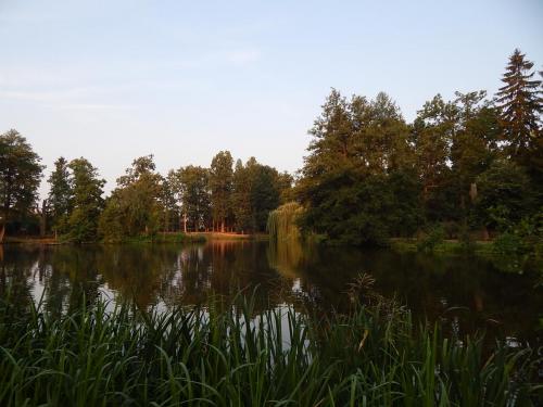DSCN0112.JPG