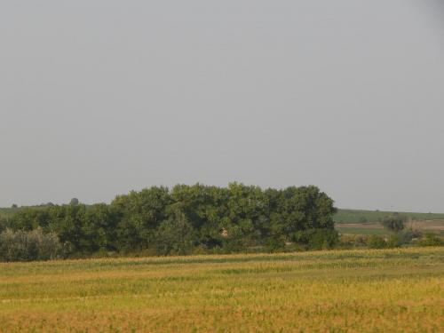 DSCN0362.JPG