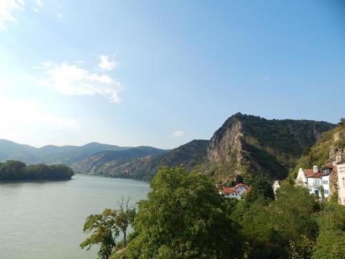 DSCN1002.JPG