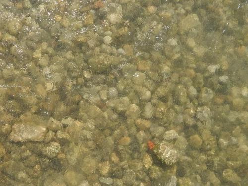 Дно озера.jpg