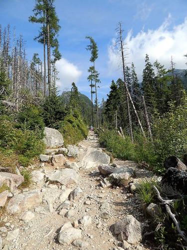 водопады  9.jpg