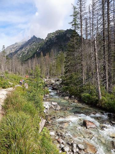 водопады 11.jpg