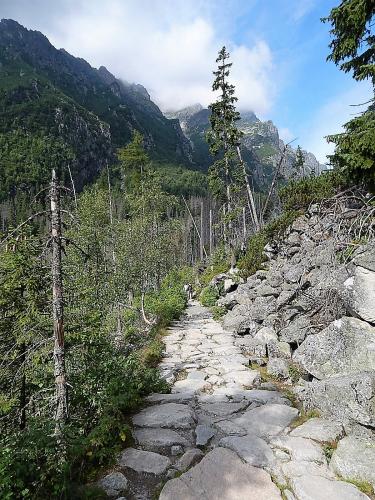 водопад  16.jpg