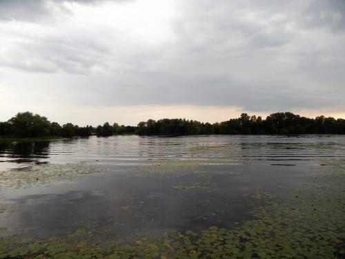 набережная 1.jpg