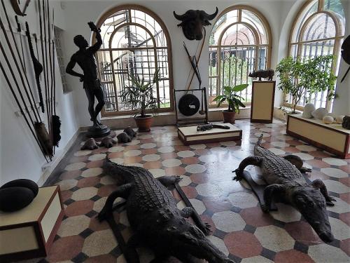 Бетлиар 10.jpg