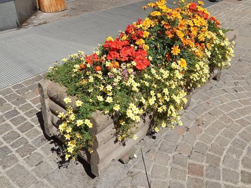 Доломитовы  Альпы2.jpg