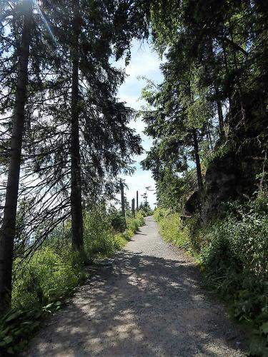 водопад  20.jpg