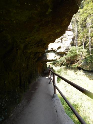 DSCN9094.JPG