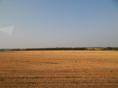 DSCN0359.JPG