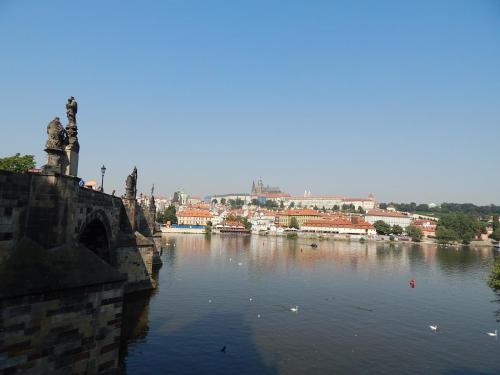 DSCN8610.JPG