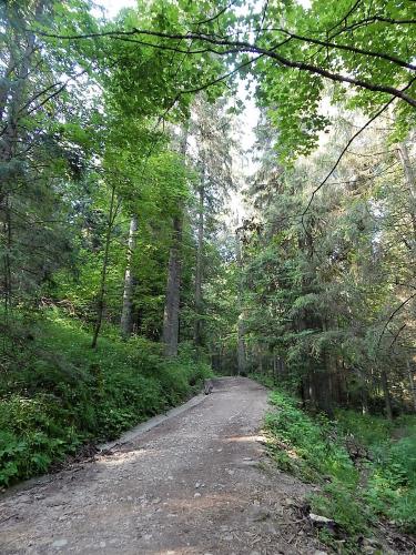 Ледовая пещера 1.jpg