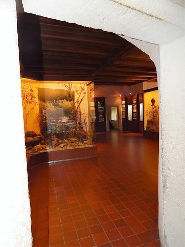 музей  прирорды.jpg