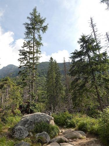 водопады 10.jpg