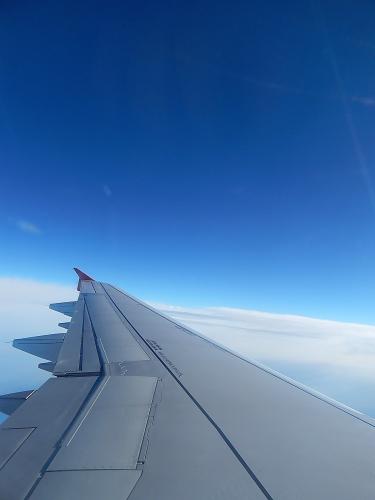 самолёт 1.jpg