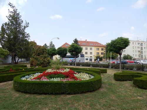 DSCN1527.JPG
