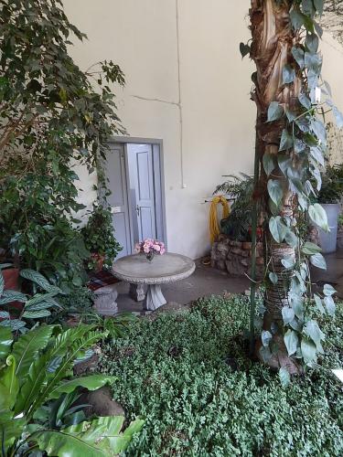 оранжерея 3.jpg