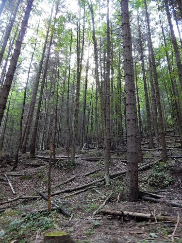 Ледовая пещера 2.jpg