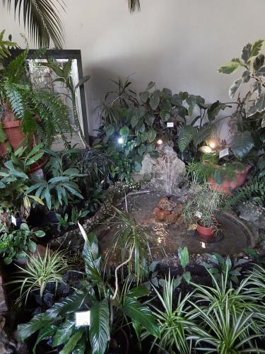 оранжерея 2.jpg