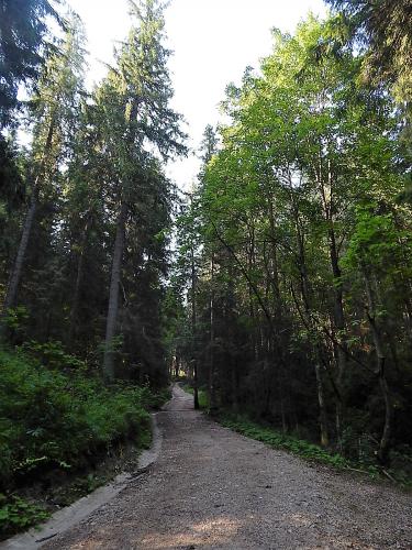 Ледовая  пещера 3.jpg