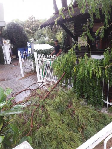 Каваллино 34.jpg