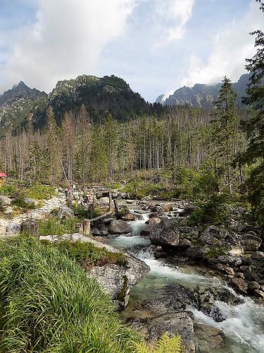 водопады 12.jpg