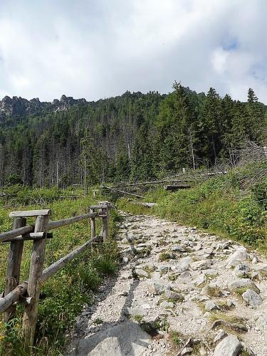 водопад  18.jpg