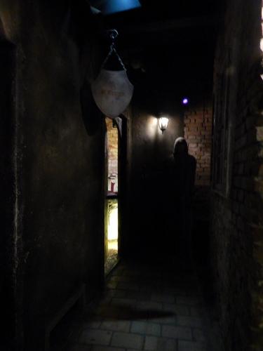 DSCN8746.JPG