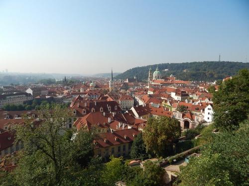 DSCN8505.JPG