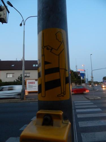 DSCN8398.JPG