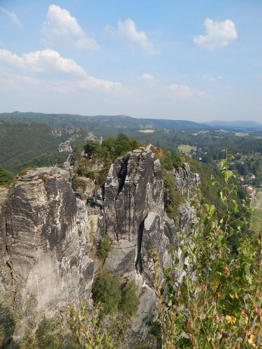 DSCN9374.JPG