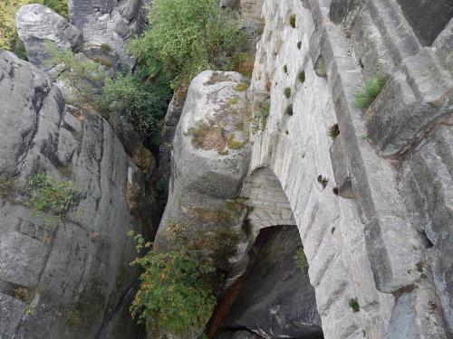 DSCN9391.JPG