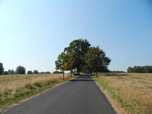 DSCN8927.JPG